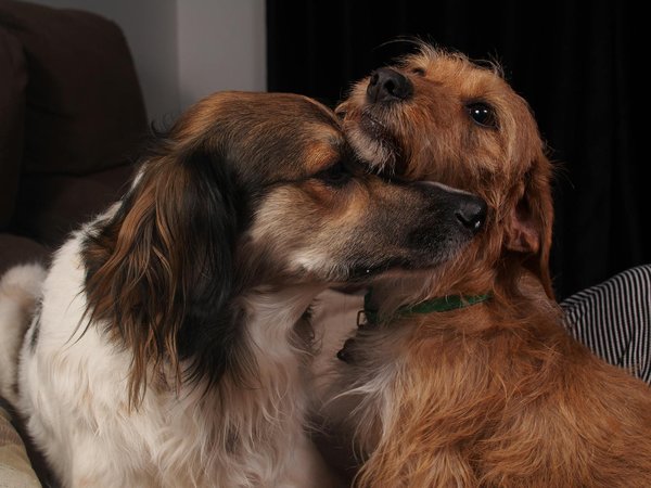 How can UK companies effectively implement sustainable business practices?