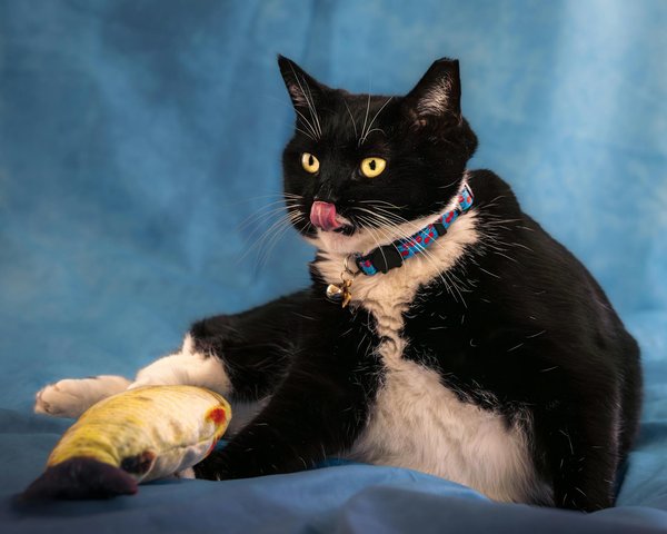 What are the benefits of autonomous vehicles for UK roads?